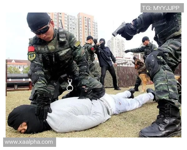 深入分析上海攀岩队整体压制战术的成功之道与实践应用