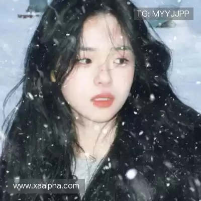 沈秦飚