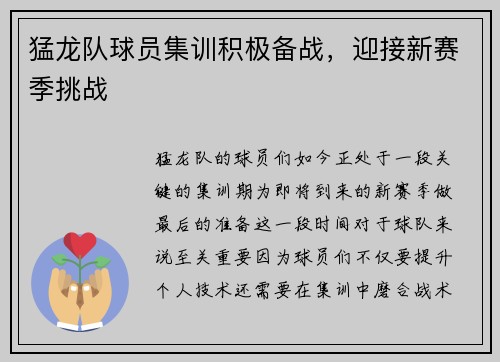 猛龙队球员集训积极备战，迎接新赛季挑战